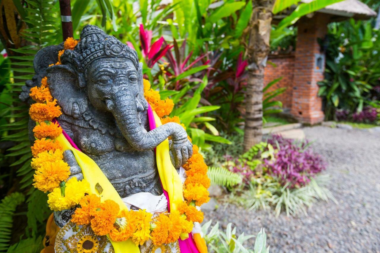 Lata Lama ロヴィーナ エクステリア 写真